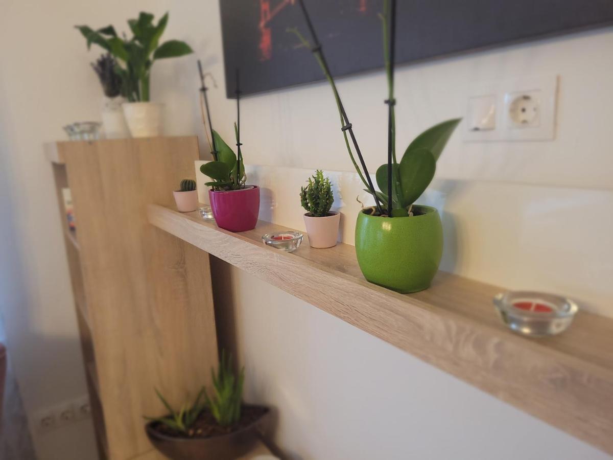 פץ' Rose Apartment מראה חיצוני תמונה